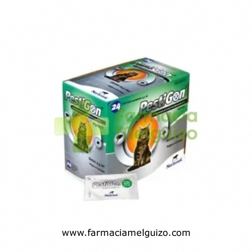 PESTIGON 50 mg SOLUCION SPOT-ON PARA GATOS