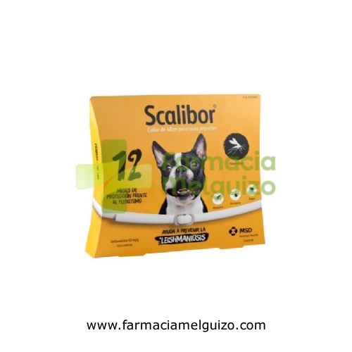 SCALIBOR COLLAR