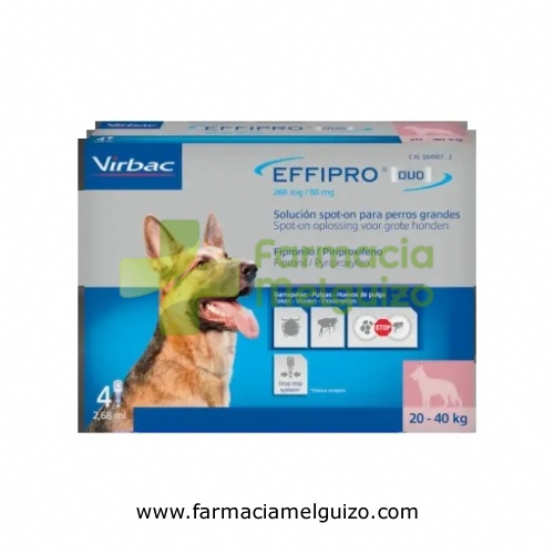 EFFIPRO DUO 268 mg/80 mg SOLUCION SPOT-ON PARA PERROS GRANDES