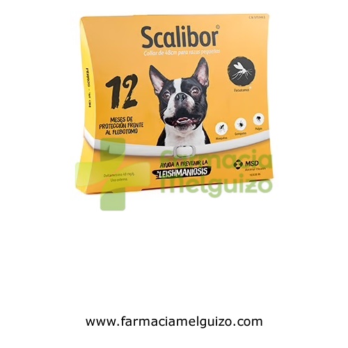 SCALIBOR COLLAR