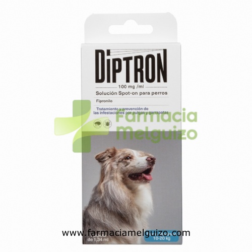 DIPTRON 134 mg SOLUCION SPOT-ON PARA PERROS MEDIANOS