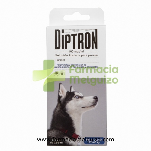 DIPTRON 268 mg SOLUCION SPOT-ON PARA PERROS GRANDES